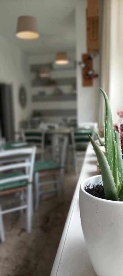 Apartament La Casina Di Ale Marina Di Carrara Zewnętrze zdjęcie
